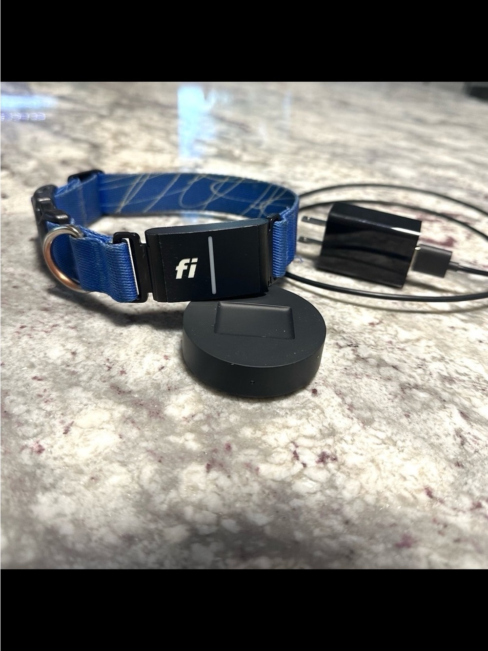 Medium Fi Smart Dog Collar with GPS Tracker Series 3+ with Charger